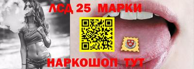 гашик Кингисепп