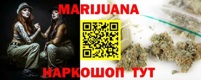 гашик Кингисепп