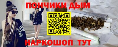 гашик Кингисепп