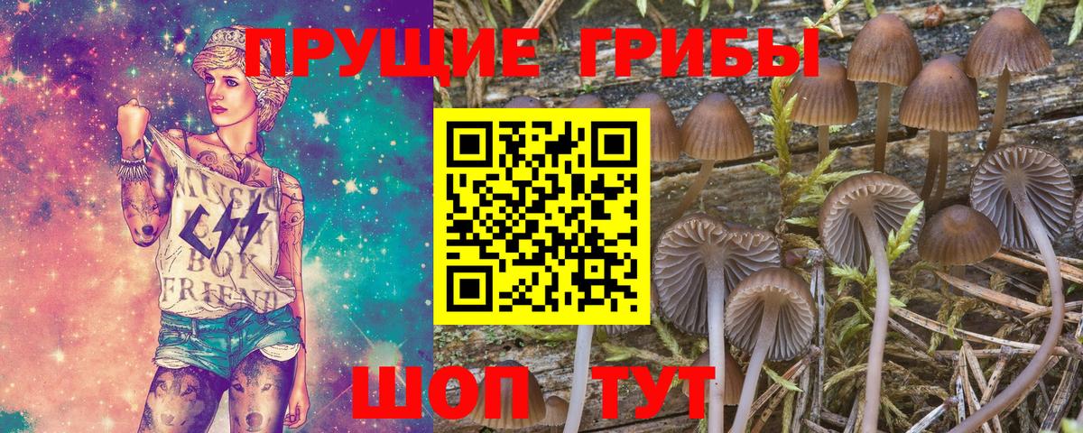 Псилоцибиновые грибы мицелий  Вход с VPN  Коряжма 